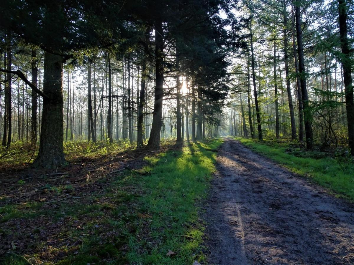 Veluwe Park Reewold Chalet Talisman 皮滕 外观 照片