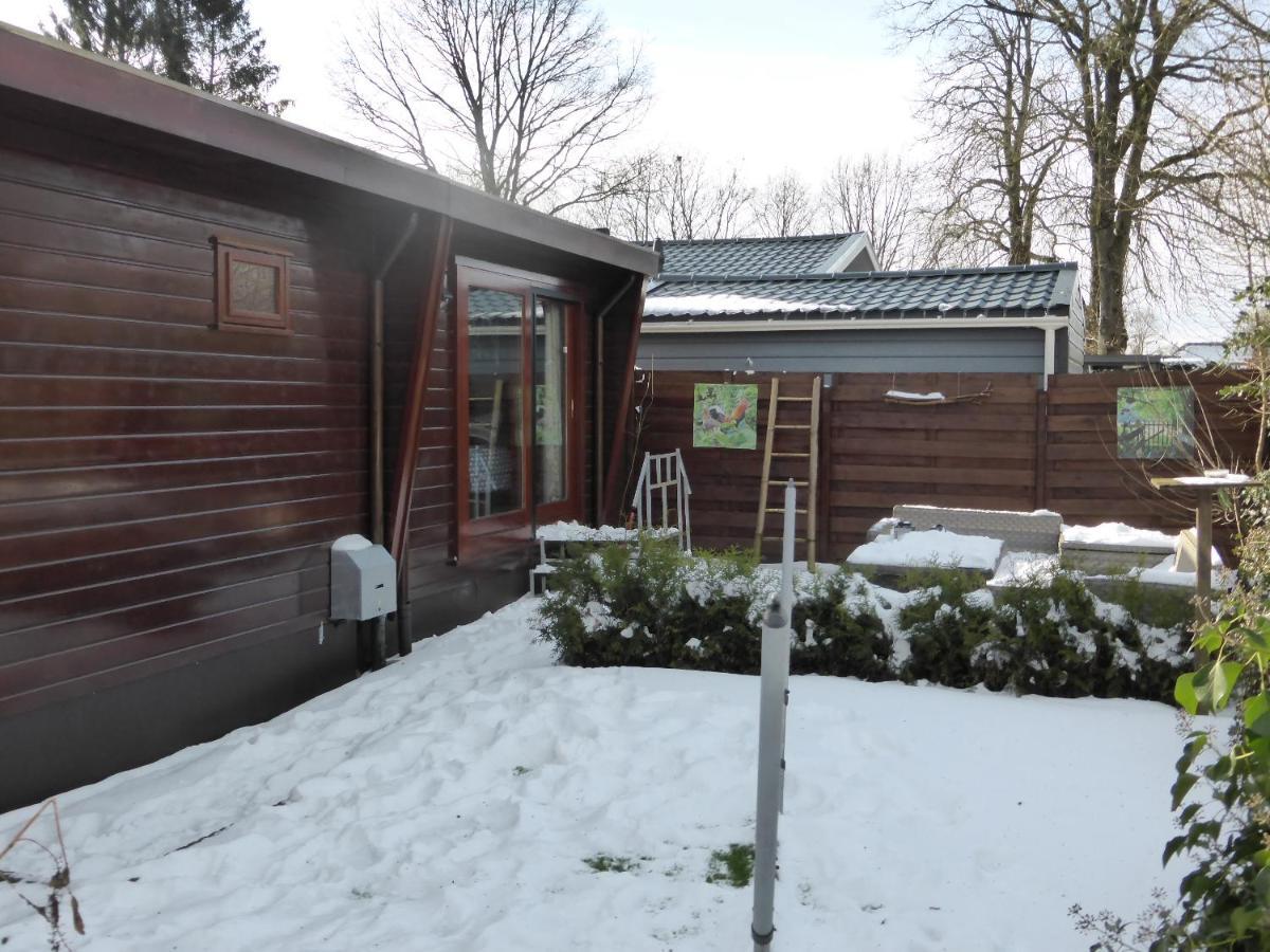 Veluwe Park Reewold Chalet Talisman 皮滕 外观 照片